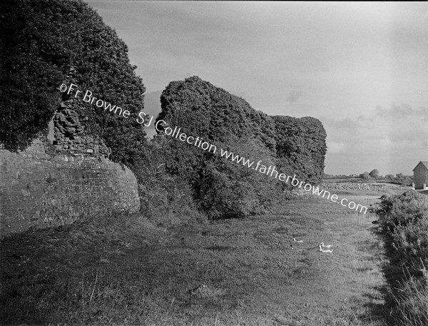 BALLINTUBBER CASTLE (O'CONNOR DON) FROM S.E.